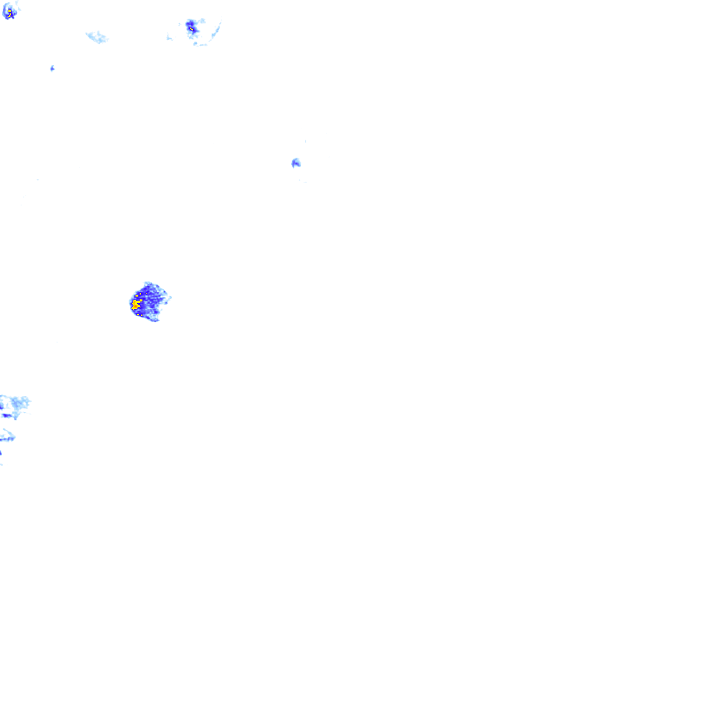 rainLayer
