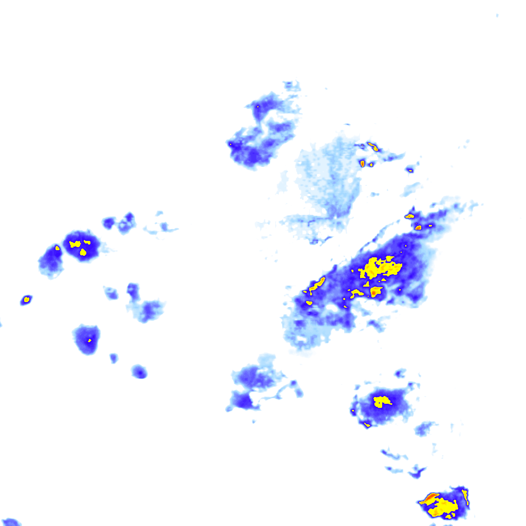 rainLayer