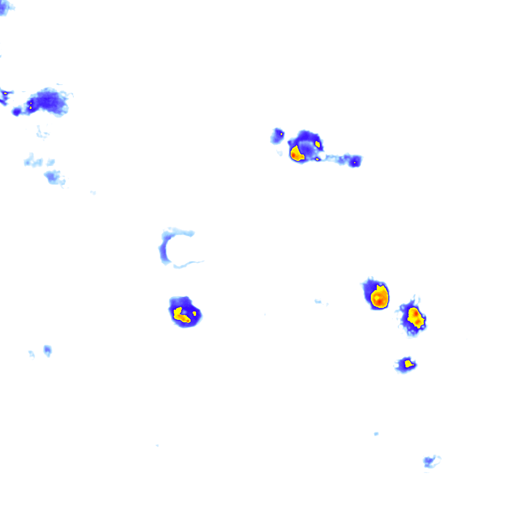 Image Layer