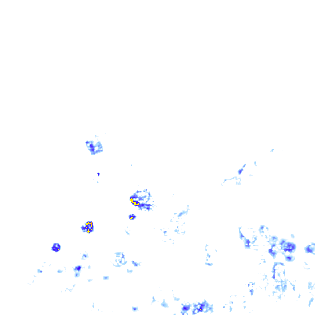 rainLayer