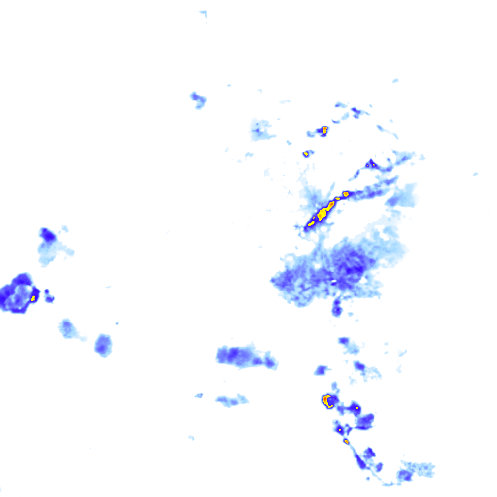 rainLayer