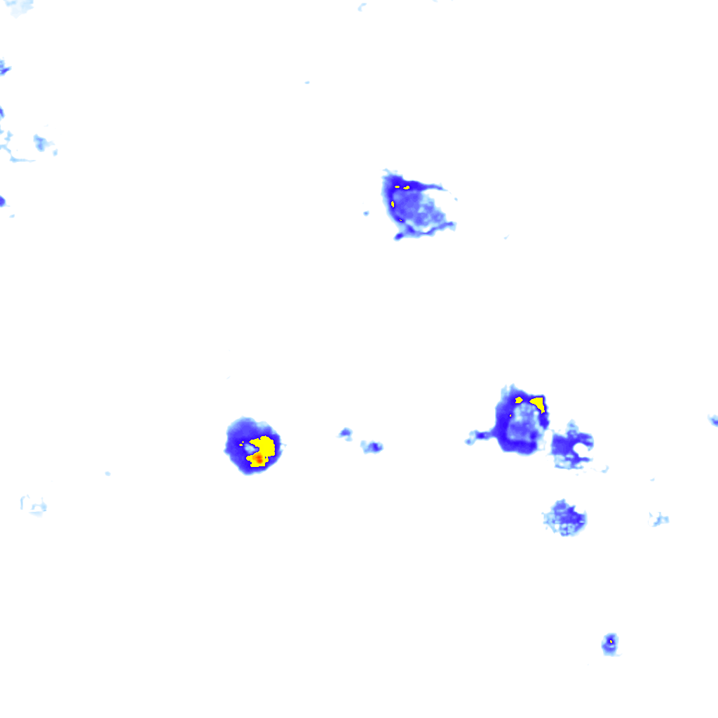 Image Layer