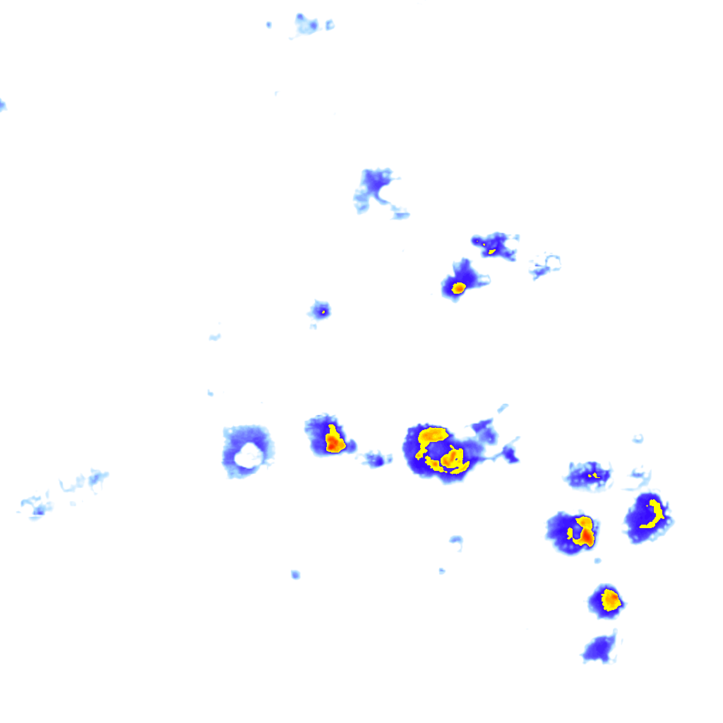 Image Layer