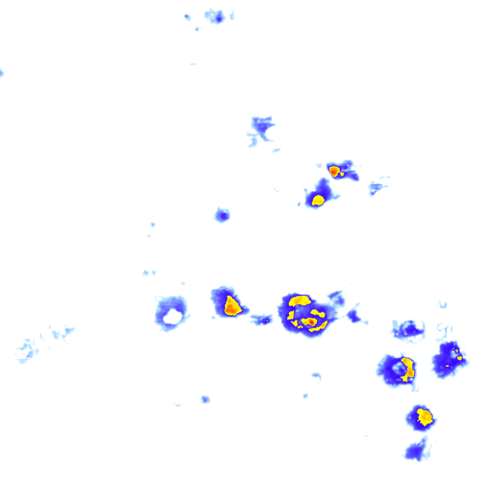 Image Layer