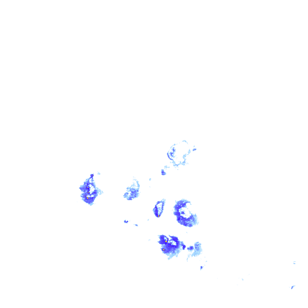 rainLayer