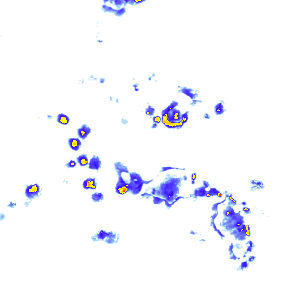 Image Layer