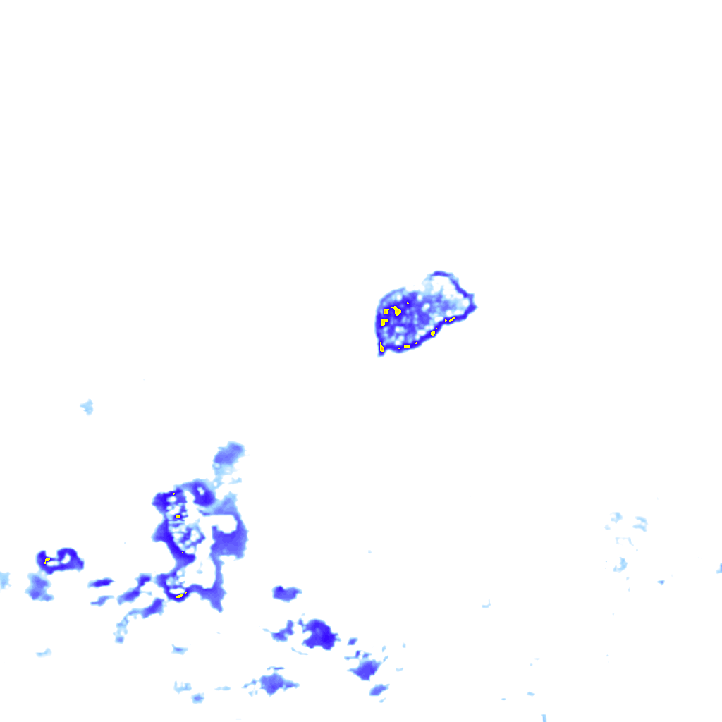 Image Layer