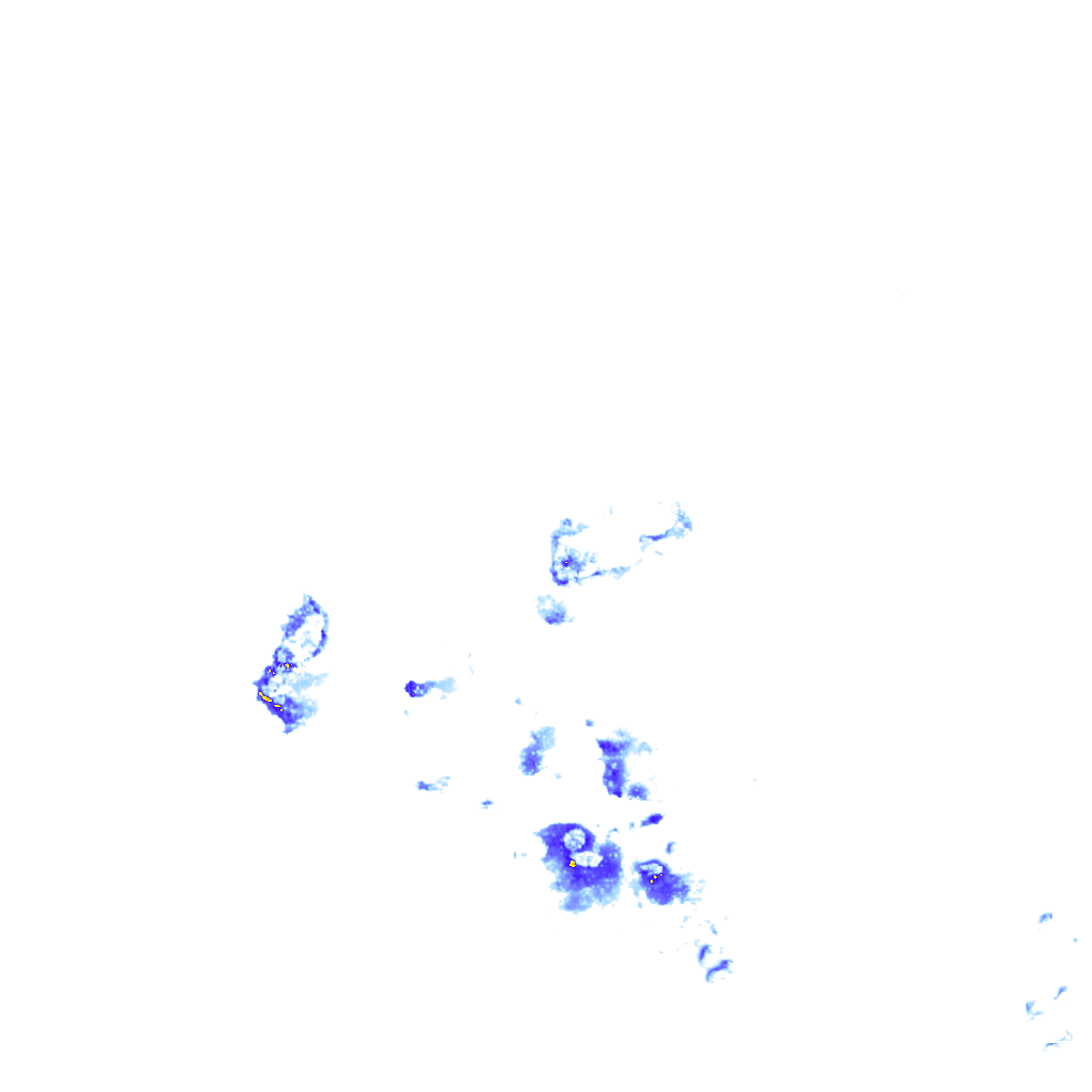 rainLayer