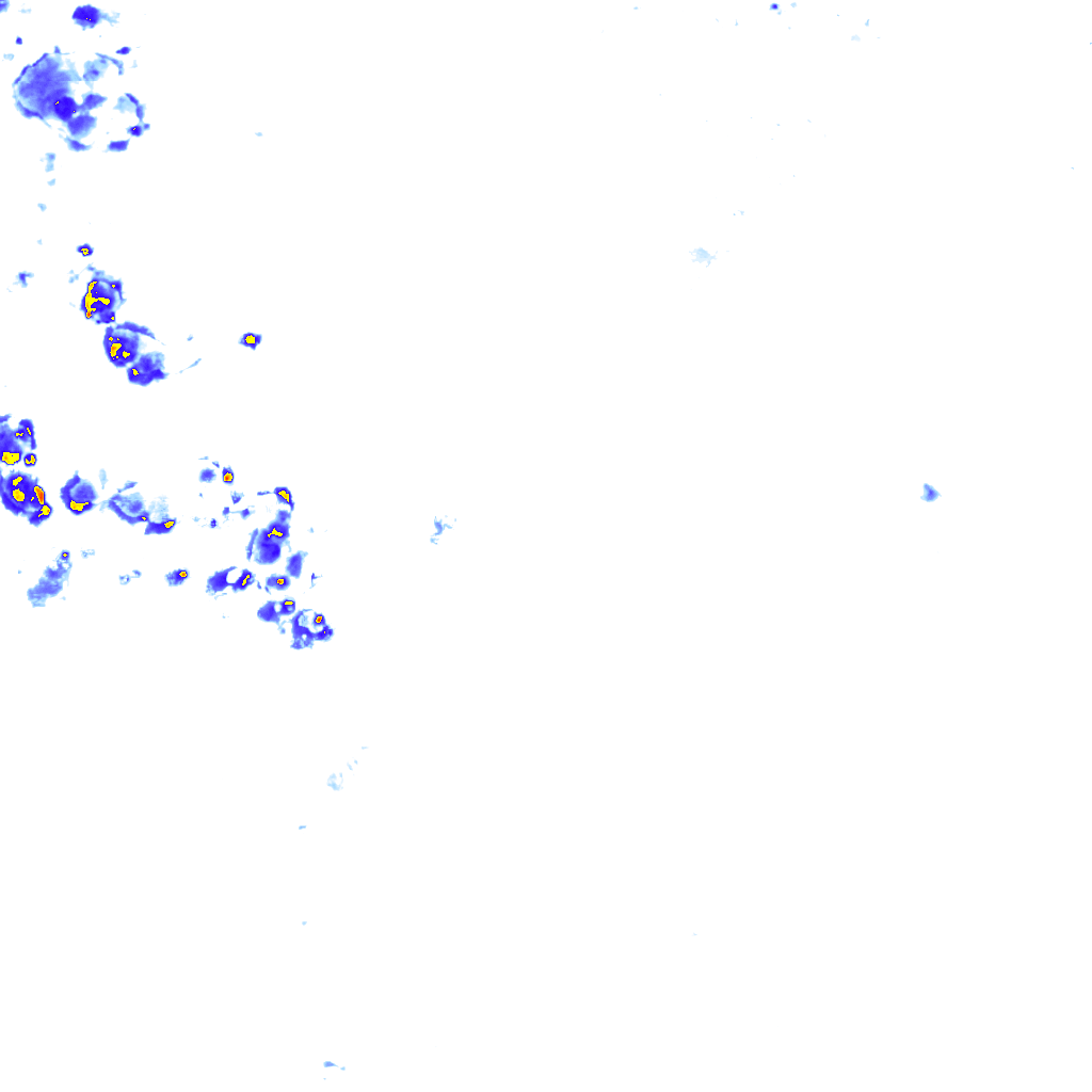 rainLayer