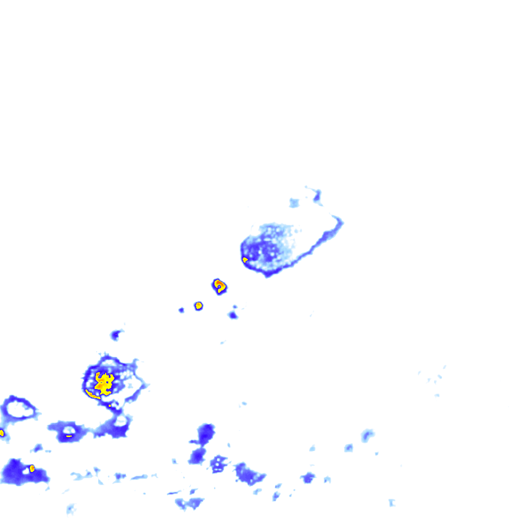 rainLayer