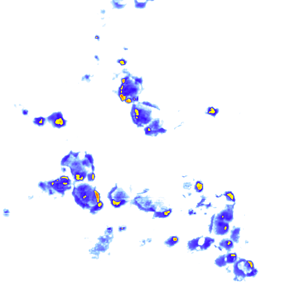 rainLayer