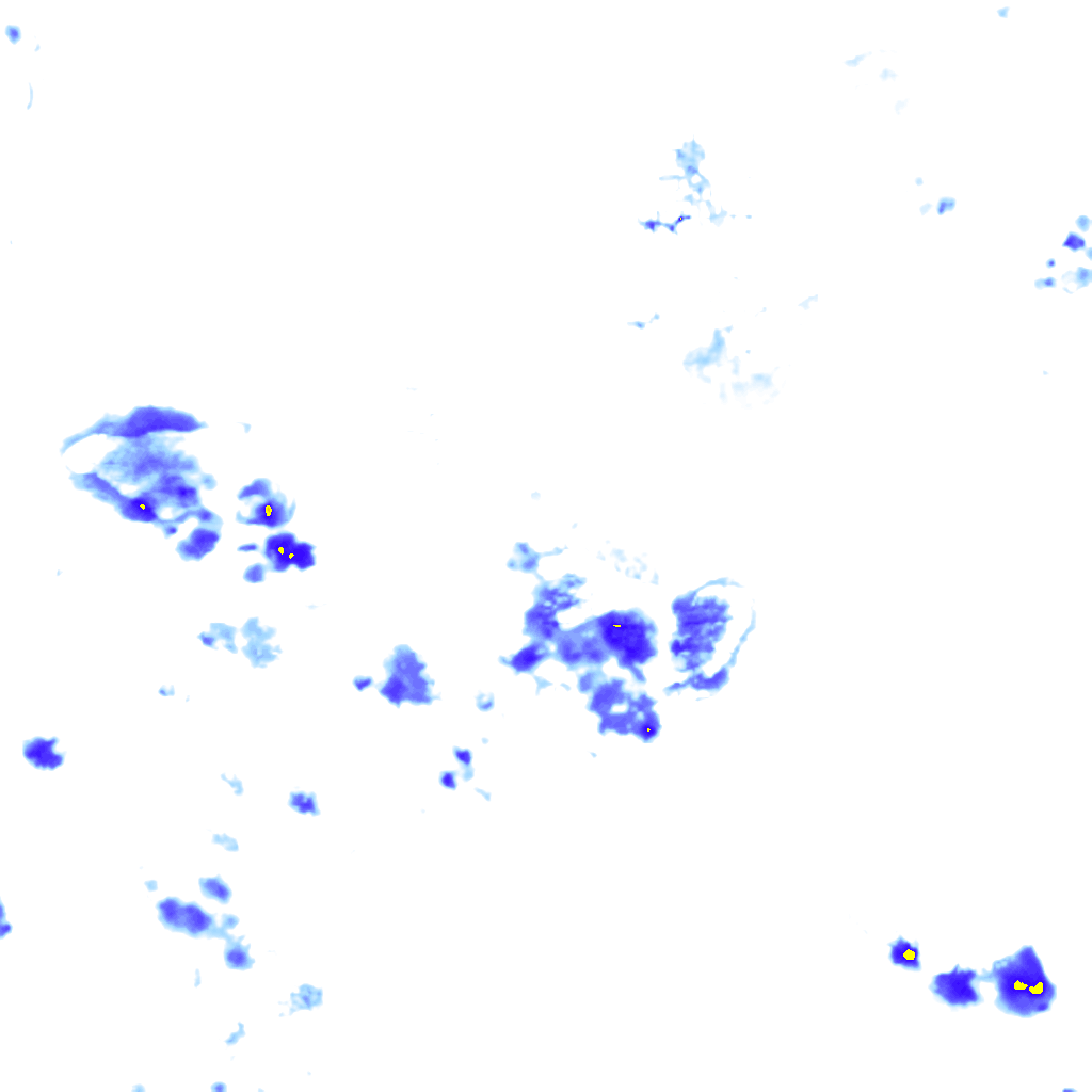 rainLayer