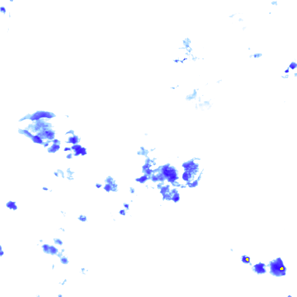 Image Layer