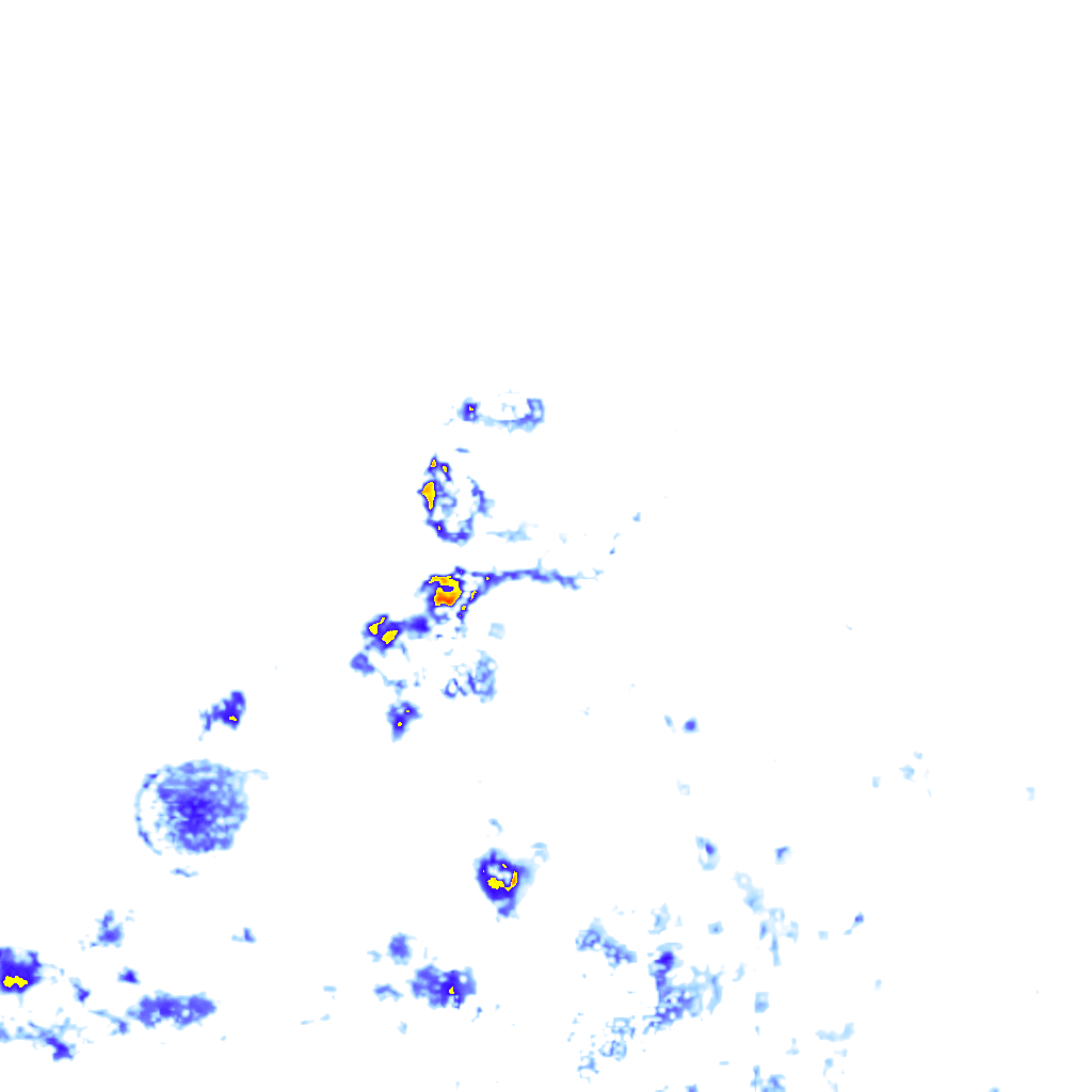 rainLayer