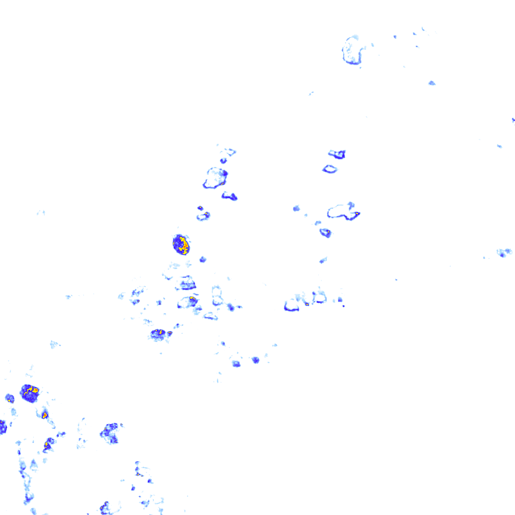 rainLayer