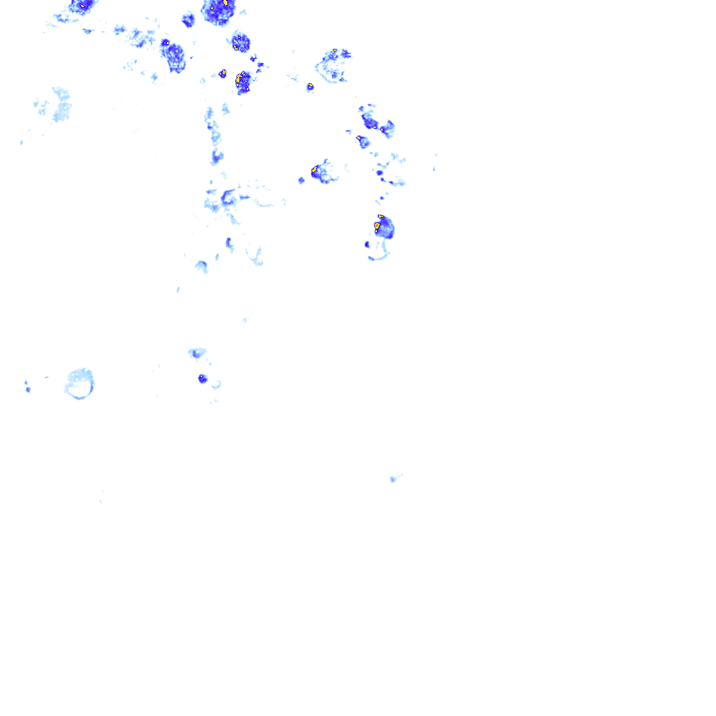 rainLayer