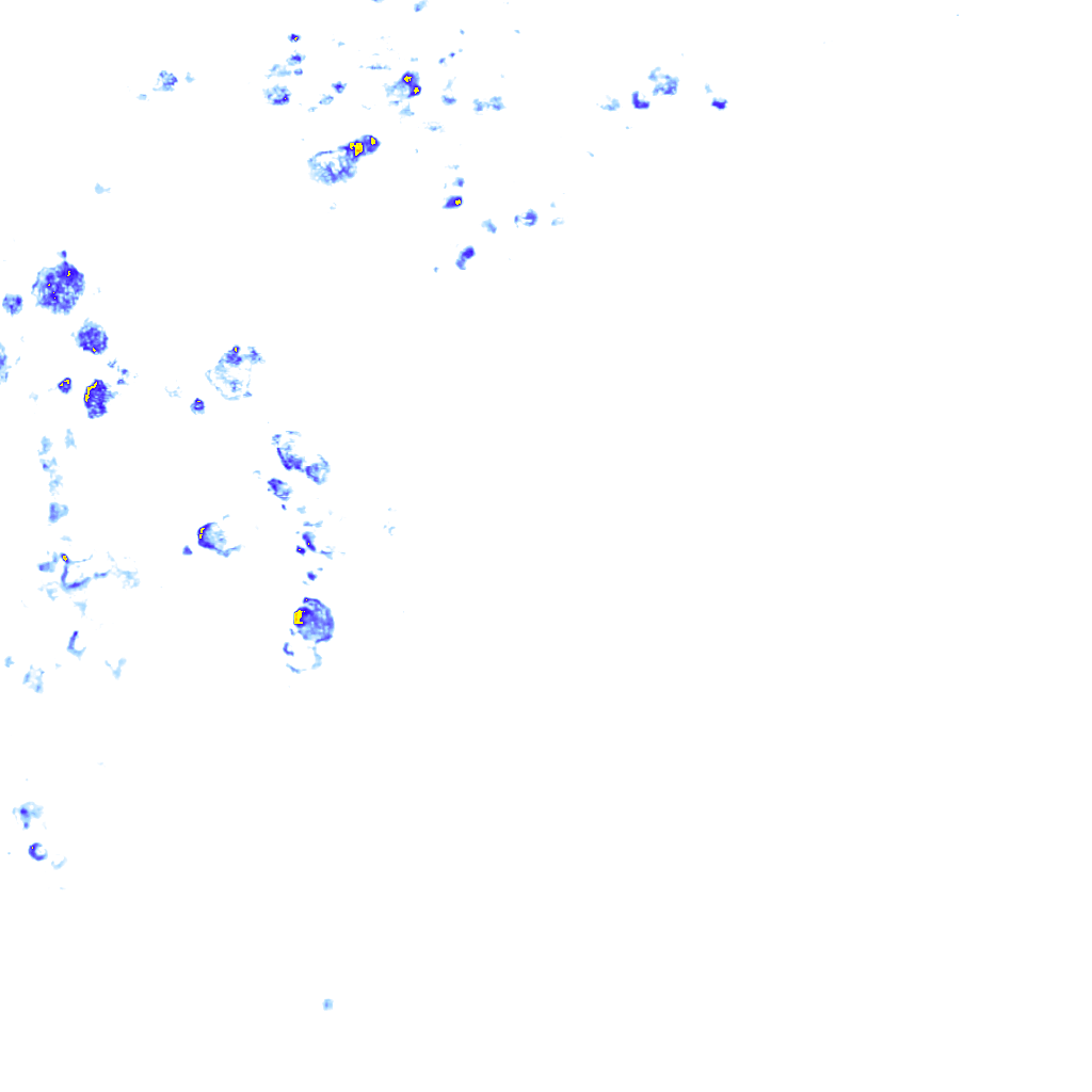 rainLayer