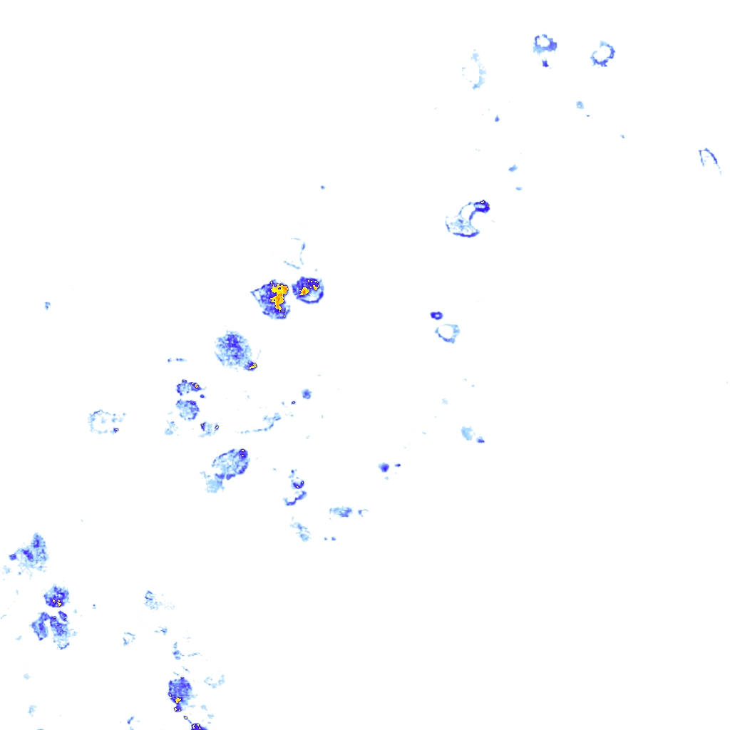 rainLayer