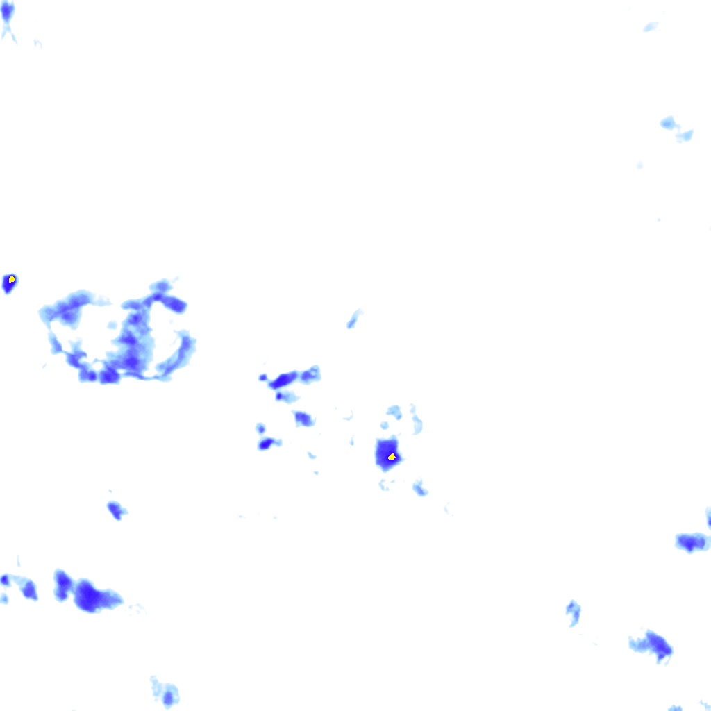 rainLayer