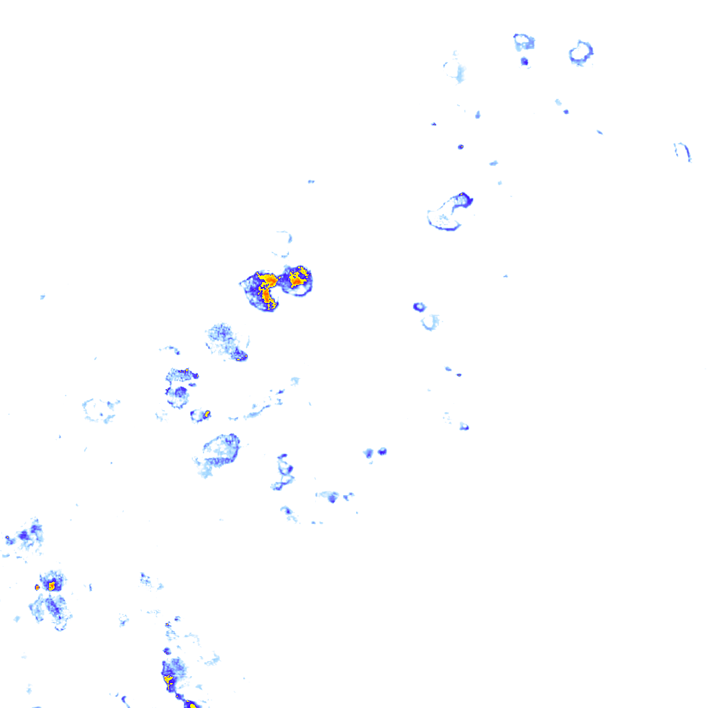 rainLayer