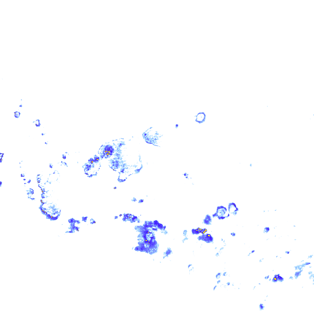 rainLayer