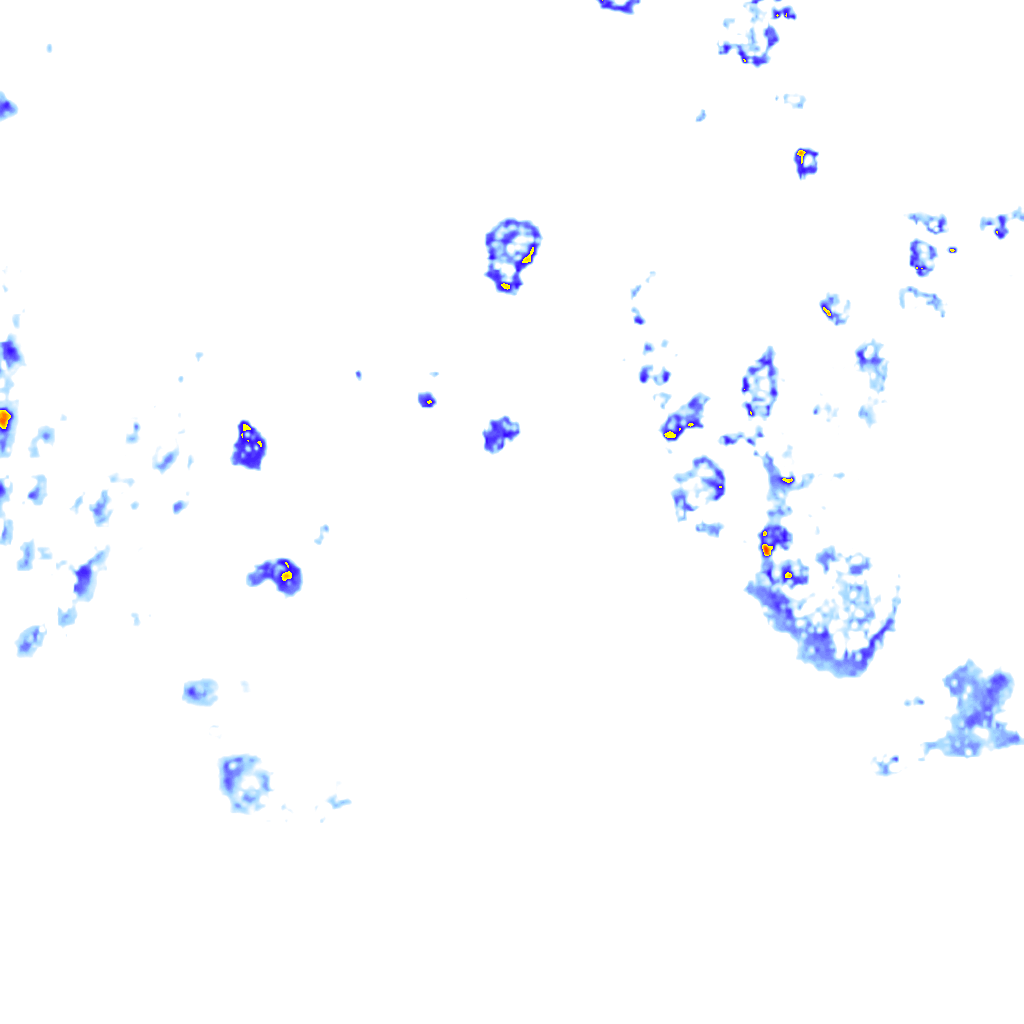 rainLayer