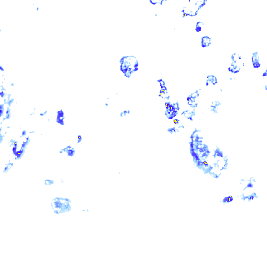 rainLayer