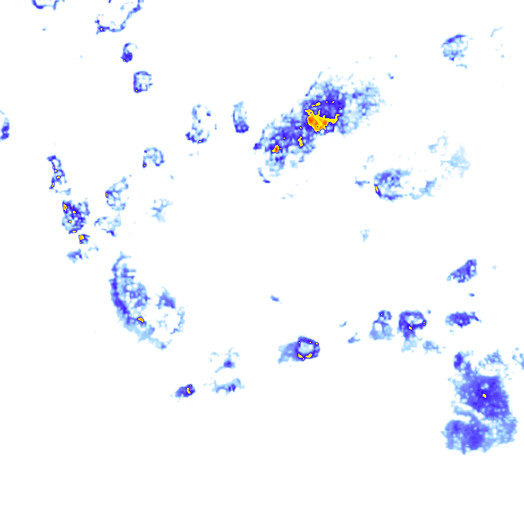 Image Layer