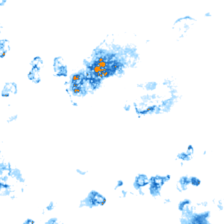 rain layer