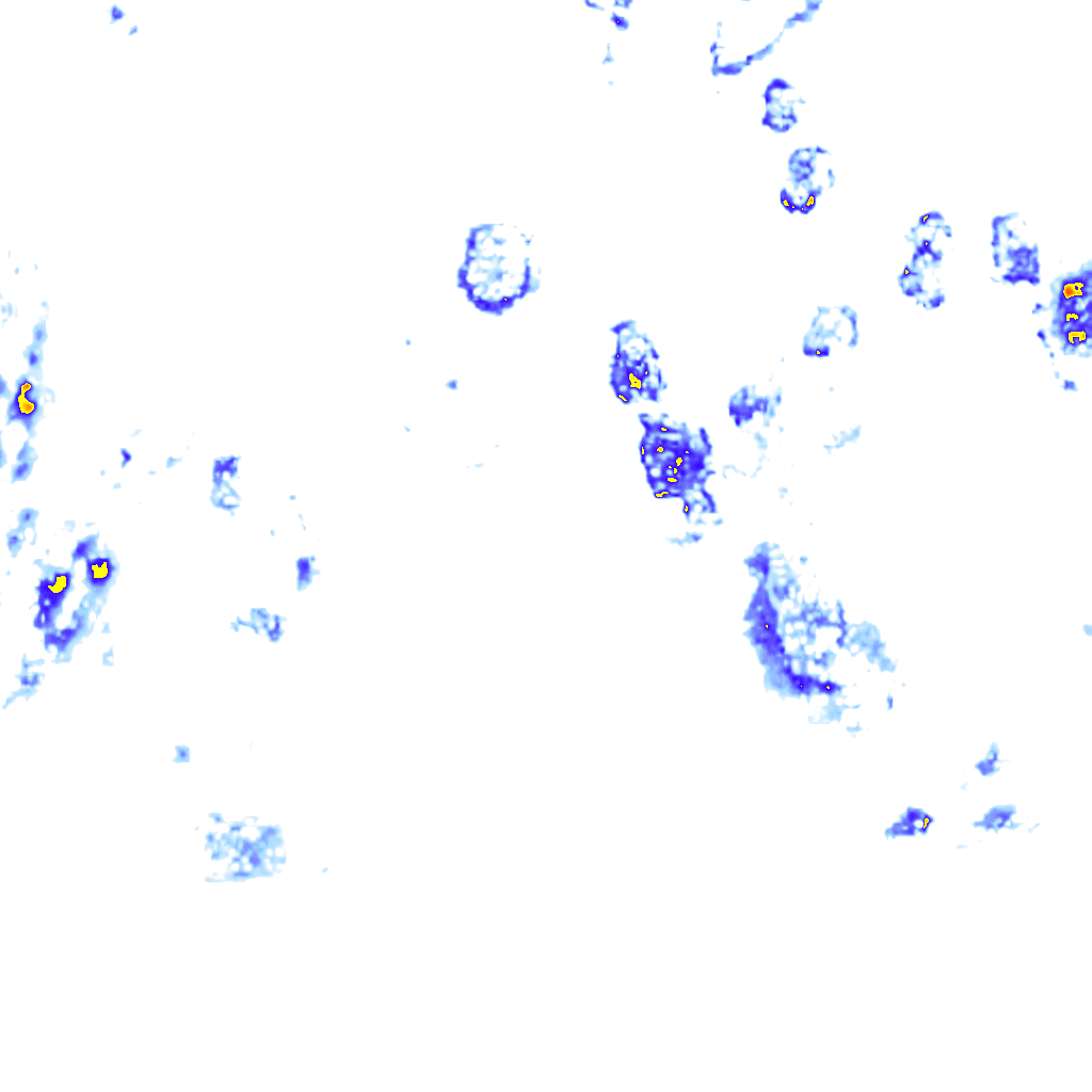 Image Layer