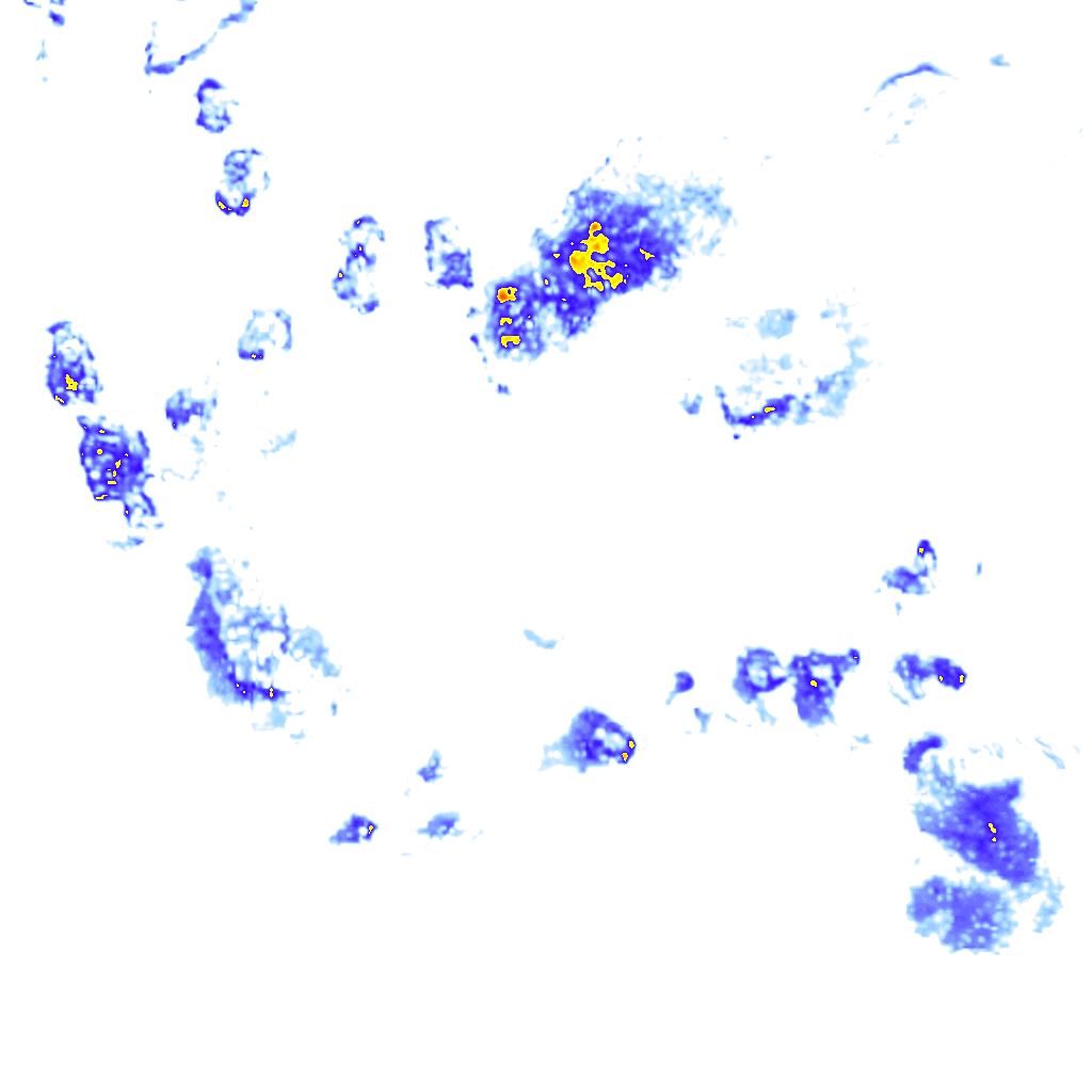 rainLayer