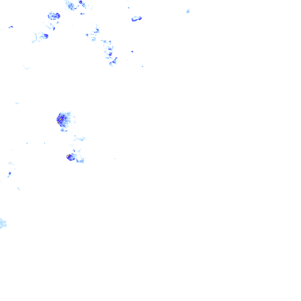 rainLayer