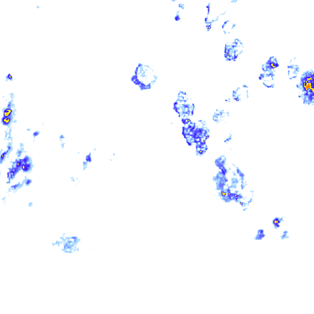 rainLayer