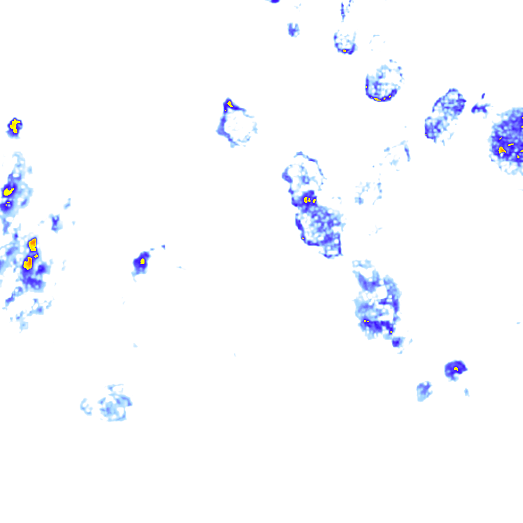 rainLayer