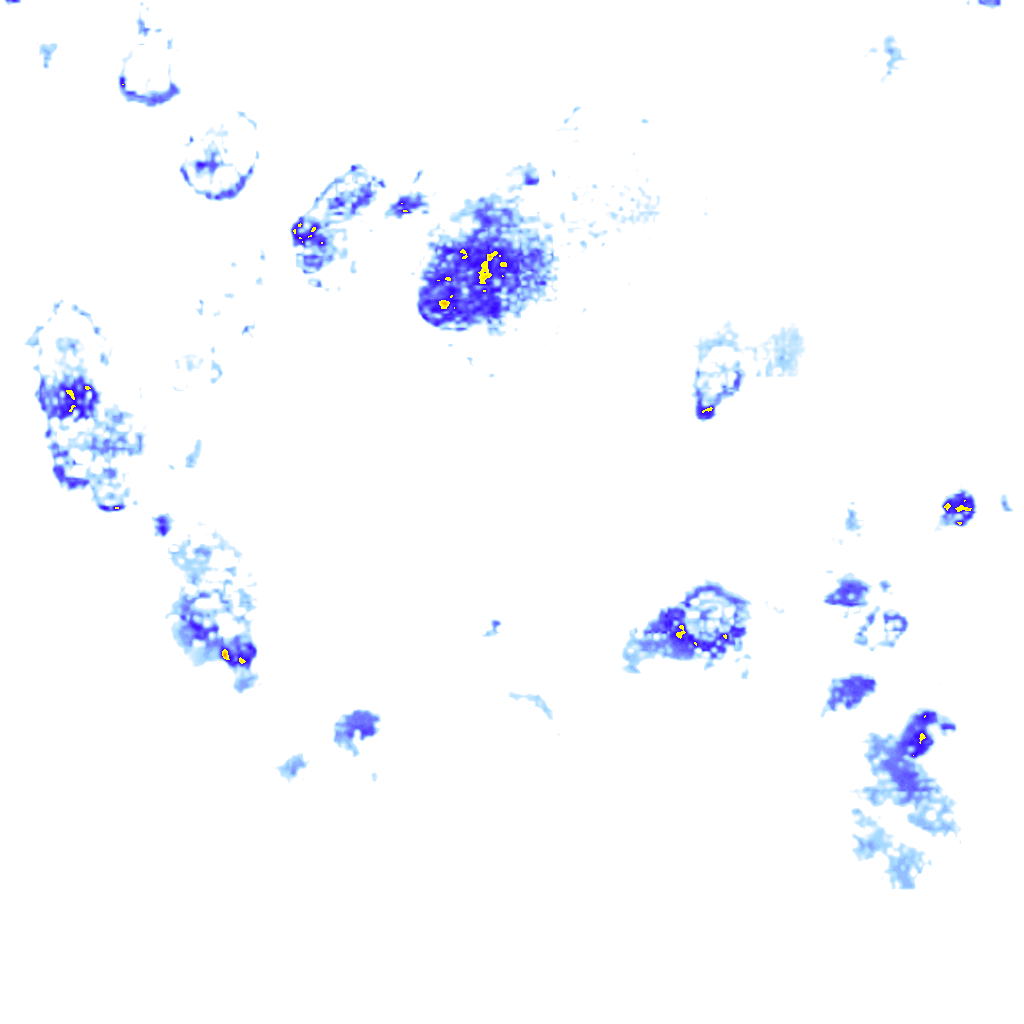 rainLayer