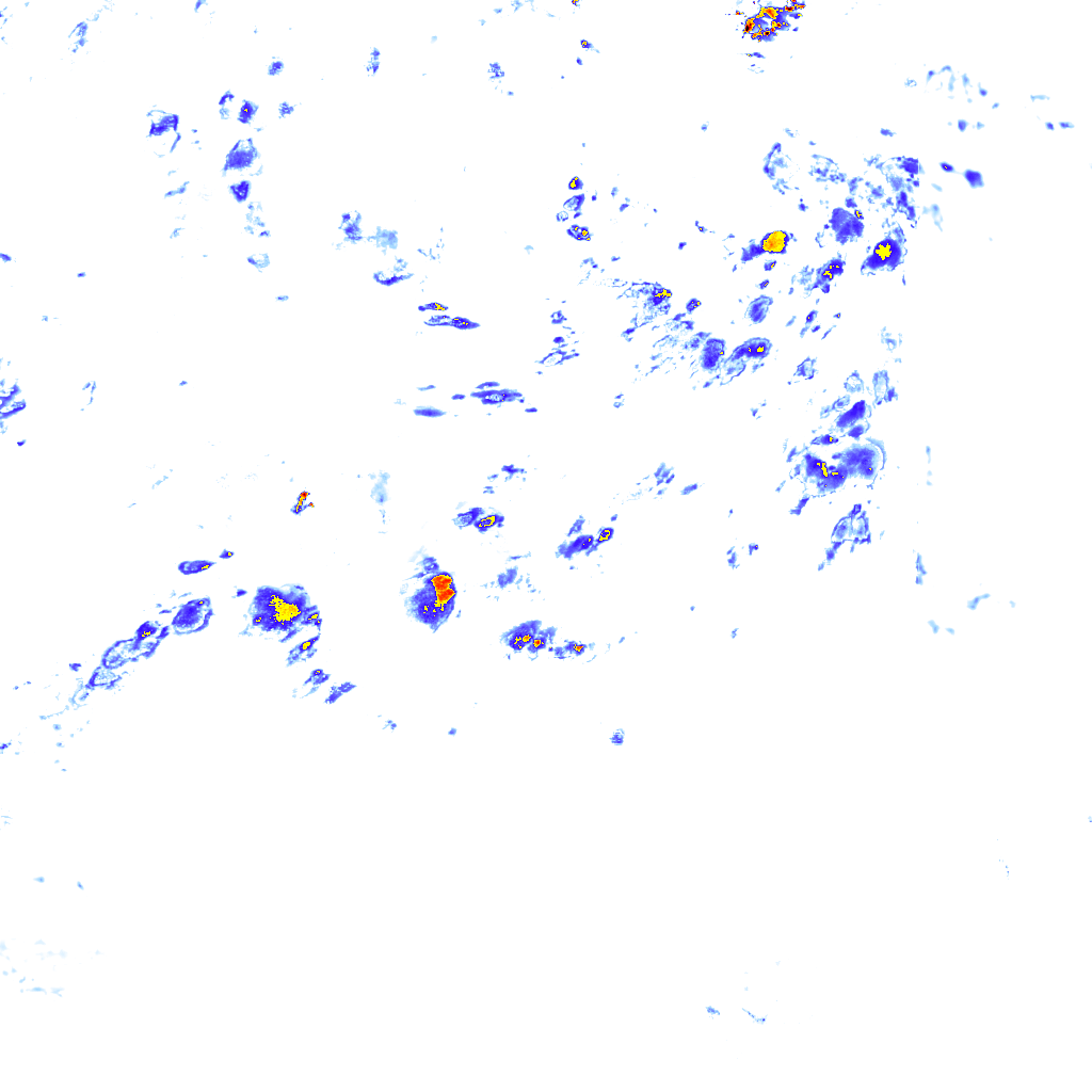 rainLayer