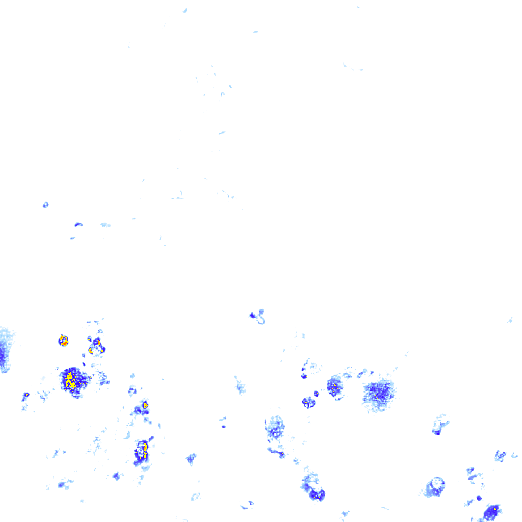 rainLayer