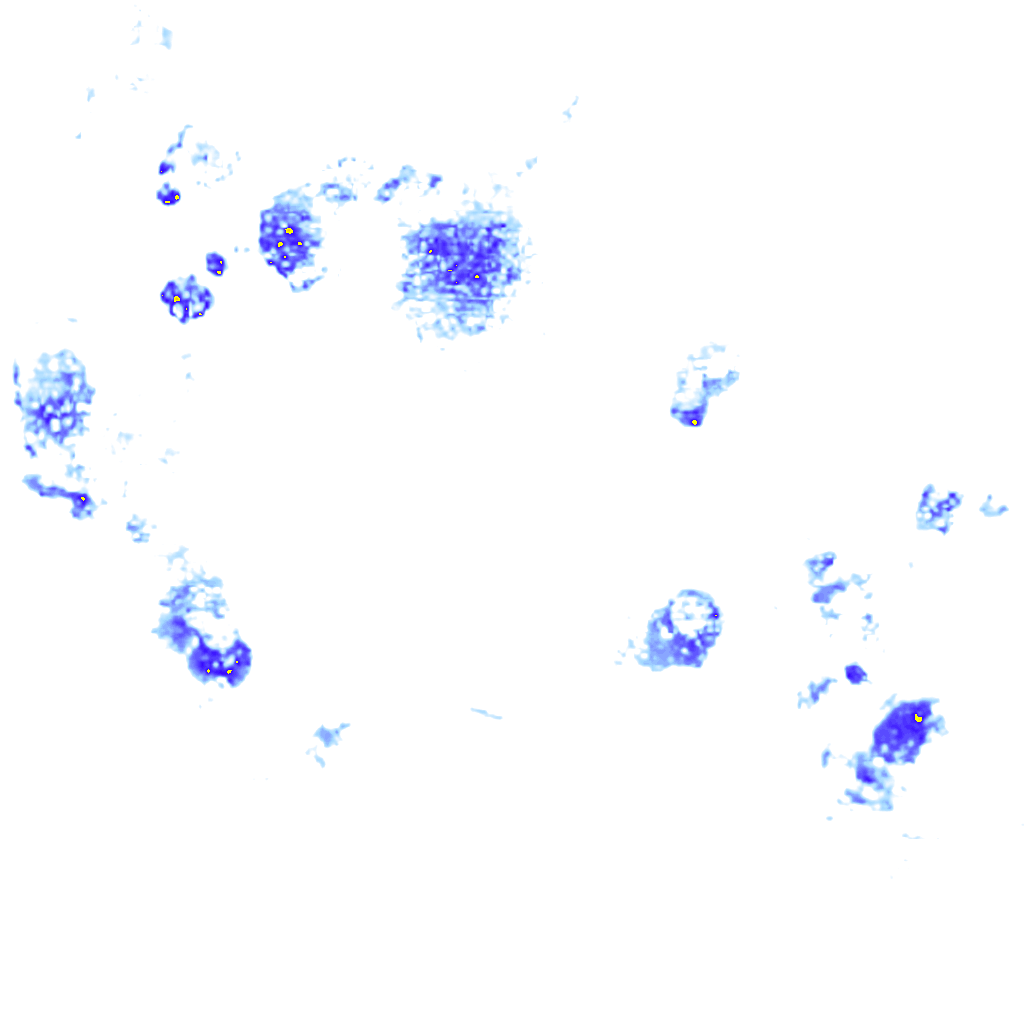 rainLayer