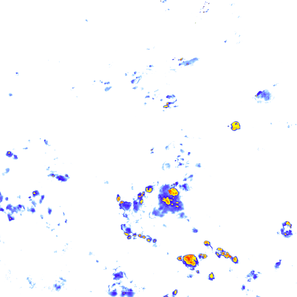 rainLayer