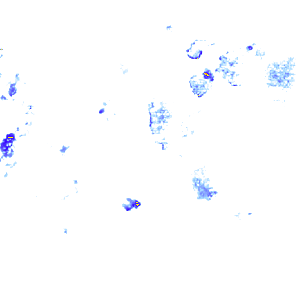 rainLayer