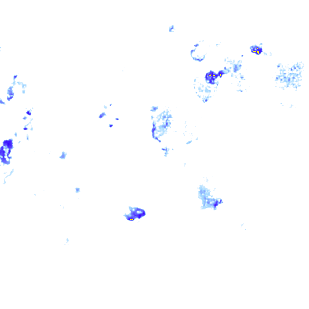 rainLayer