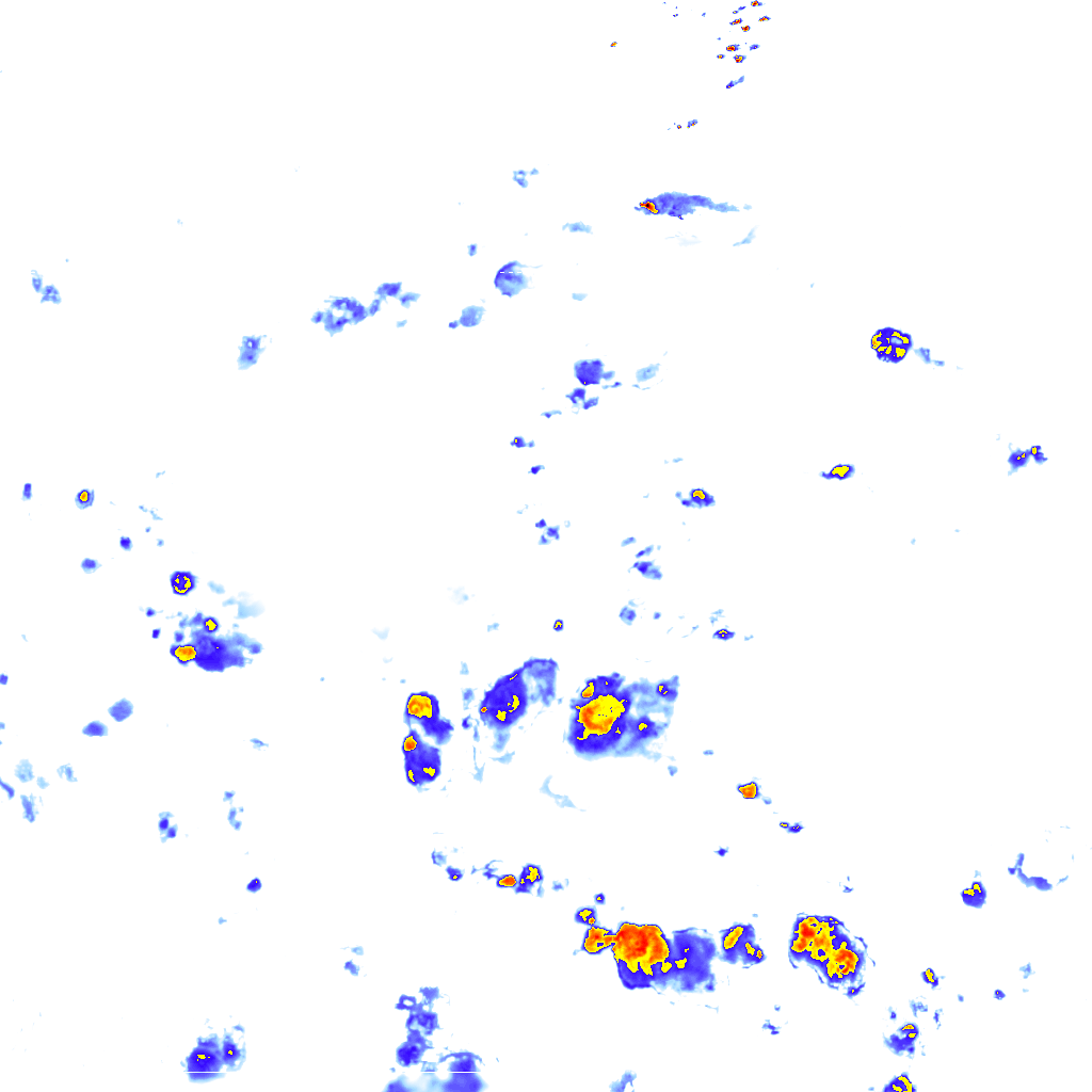 rainLayer