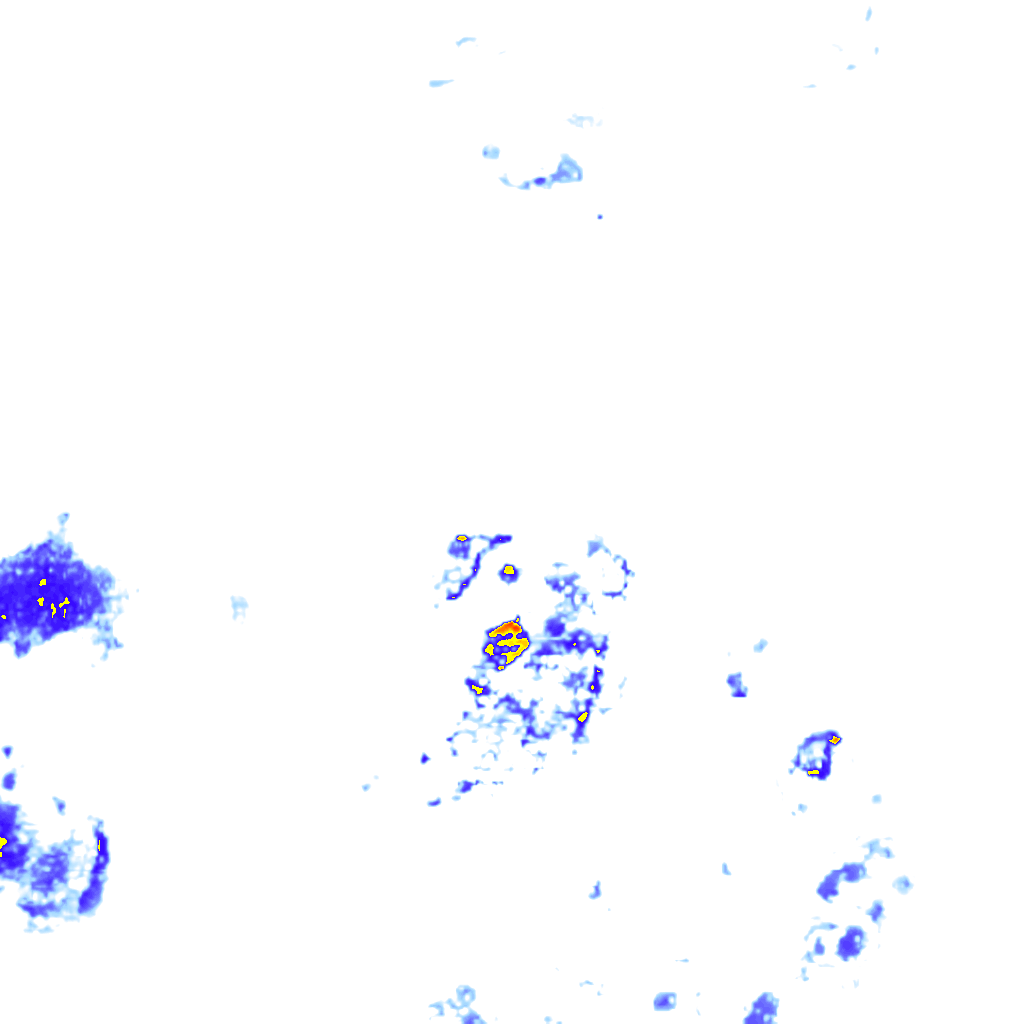Image Layer
