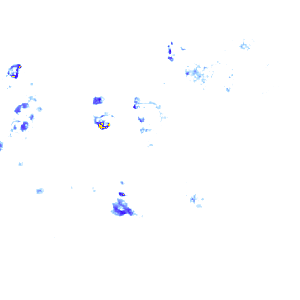 rainLayer