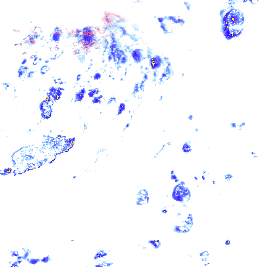 rainLayer