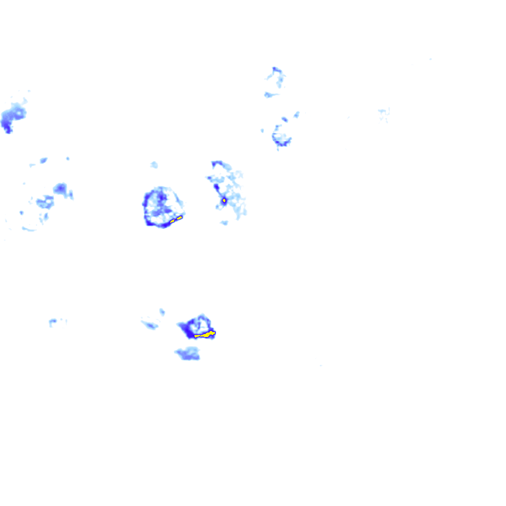 rainLayer