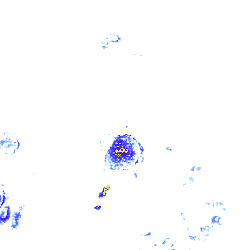 rainLayer