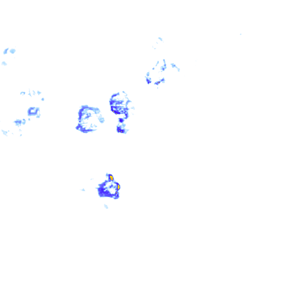 rainLayer