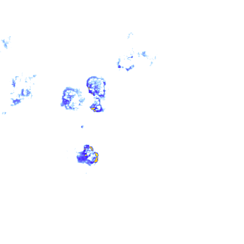 rainLayer