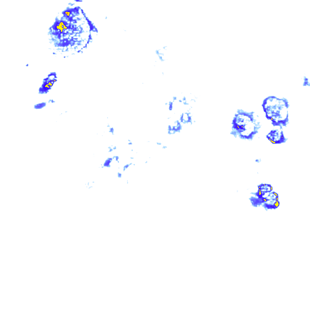 rainLayer